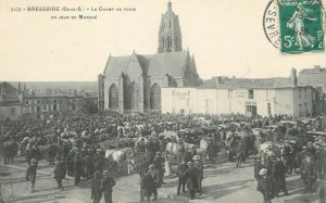 bressuire foire