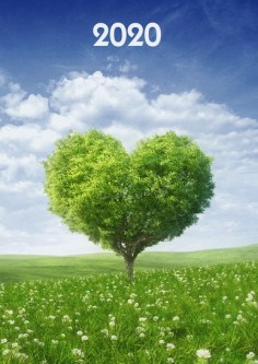 2020